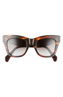 CELINE 50mm Gradient Cat Eye Sunglasses in Transparent Brown/Brown