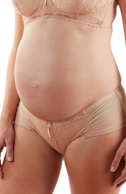 Cache Coeur Iris Lace Low Waist Maternity Briefs in Nude