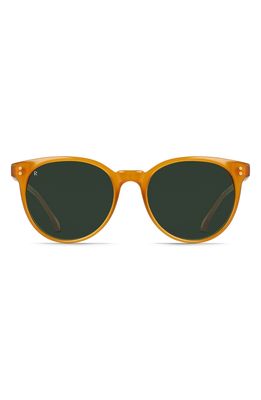 RAEN Norie 53mm Cat Eye Sunglasses in Honey/Bottle Green