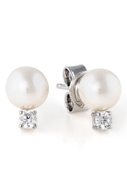Crislu Cultured Pearl Stud Earrings in Pearl/Ivory