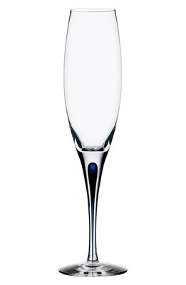 Orrefors Intermezzo Champagne Flute in Clear/Blue