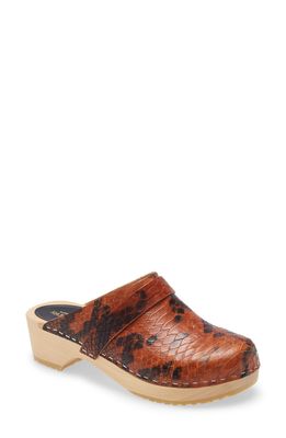 Swedish Hasbeens Husband Clog in Snake Print Leather