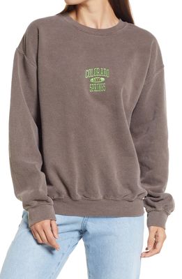 BDG Urban Outfitters Colorado Springs Sweatshirt in Brown