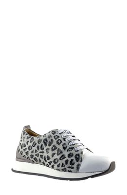 Unity in Diversity Amaze Leopard Print Sneaker in Grey Leopard Leather