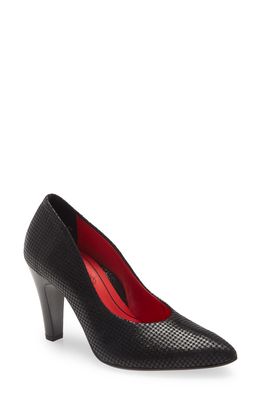 ara Franziska Pump in Black Pepita Leather