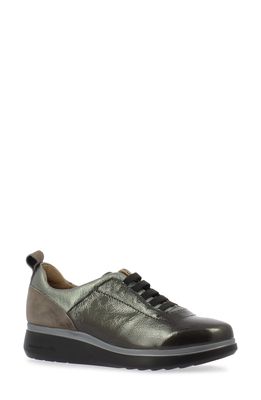 Wonders A-9712 Sneaker in Grey/Lead Metallic/Grey