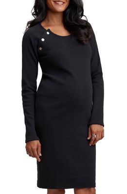 Stowaway Collection Long Sleeve Maternity/Nursing Dress in Black