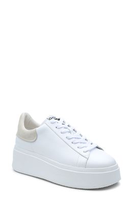 Ash Moby Platform Sneaker in White/Eggnog