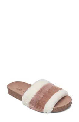 Splendid Robin Stripe Faux Fur Slide Sandal in Ivory Multi