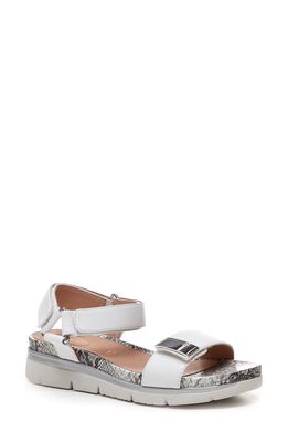 Stonefly Elody Sandal in Cloud White