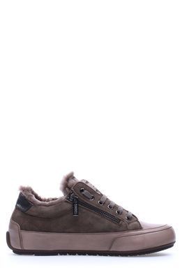 Candice Cooper Rock Genuine Shearling Lined Low Top Sneaker in Stone/Olive