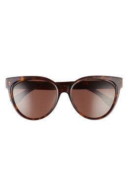 Fendi 56mm Cat Eye Sunglasses in Dark Havana /Brown