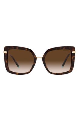 Tiffany & Co. 54mm Square Sunglasses in Havana/Gradient Brown
