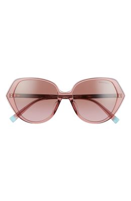 Tiffany & Co. 55mm Gradient Irregular Sunglasses in Pink Brown/Violet Brown