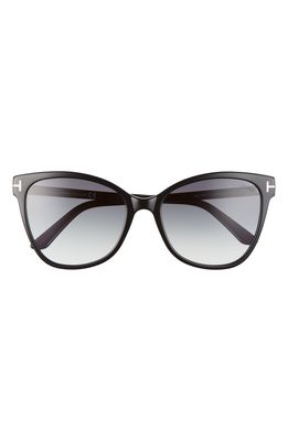 Tom Ford Ani 58mm Gradient Cat Eye Sunglasses in Shiny Black/Smoke Gradient