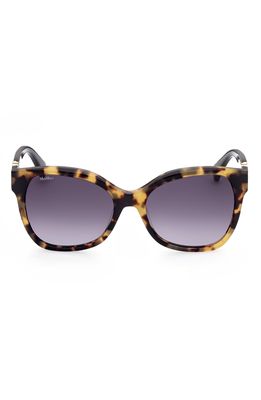 Max Mara Butterfly 56mm Gradient Cat Eye Sunglasses in Havana/Other /Gradient Smoke