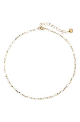 Brook and York Lennon Figaro Chain Choker in Gold