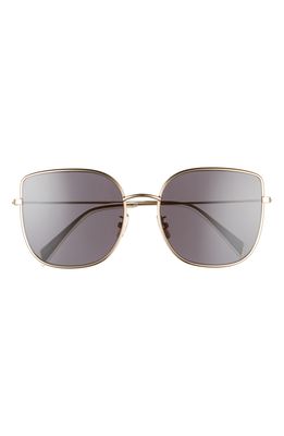 CELINE 59mm Flat Front Butterfly Sunglasses in Transparent Clear/Grey
