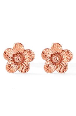 Bernard James Flora Petunia 14K Gold Earrings in Rose Gold