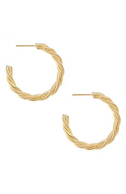Ettika Twist Hoop Earrings in Gold