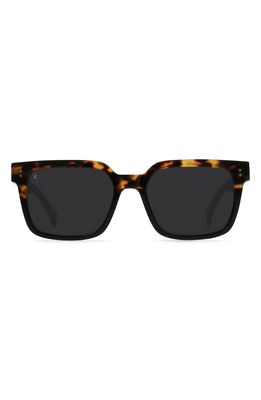RAEN West 55mm Square Sunglasses in Tamarin/Dark Smoke