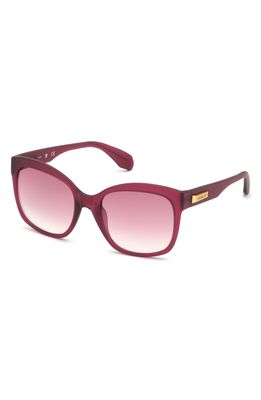 adidas Originals 54mm Gradient Butterfly Sunglasses in Matte Red/Bordeaux Mirror
