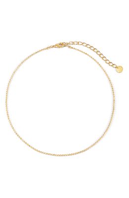 Brook and York Mae Bead Chain Choker in Gold