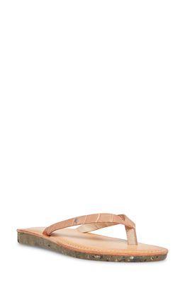 Cool Planet by Steve Madden Planet Flip Flop in Nude Croc
