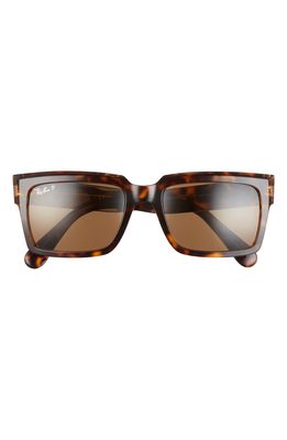 Ray-Ban Inverness 54mm Polarized Pillow Sunglasses in Havana On Brown /Brown