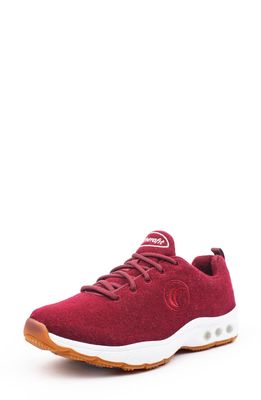 Therafit Paloma Wool Sneaker in Burgundy Wool