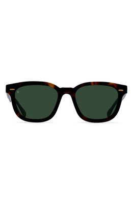 RAEN Myles 53mm Round Sunglasses in Kola Tortoise/Bottle Green