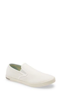 SeaVees Baja Standard Slip-On Sneaker in White