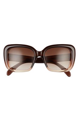 CELINE 57mm Gradient Square Sunglasses in Transparent Brown/Brown