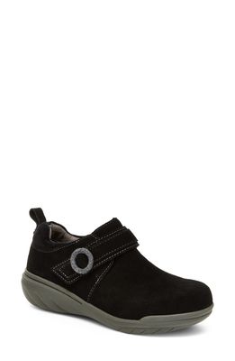 Jambu Fennel Slip-On Shoe in Black