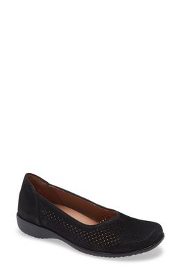 ara Avril Perforated Flat in Black Nubuck