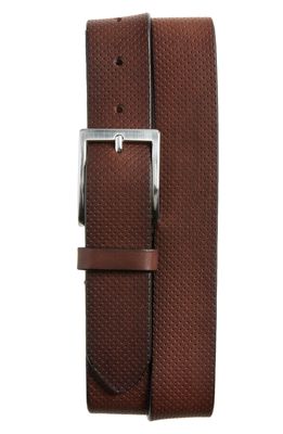 To Boot New York Perforated Leather Belt in Nevada Tmoro