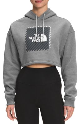 The North Face Crop Graphic Hoodie in Grey Heather