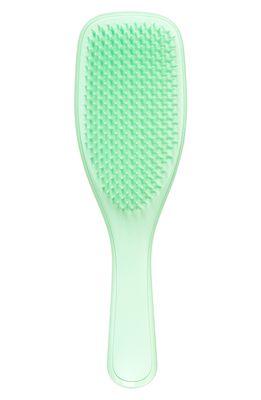 Tangle Teezer Ultimate Detangler Hairbrush in Mint