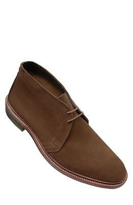 Alden Chukka Boot in Snuff Suede