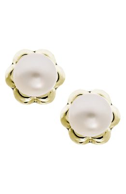 Mignonette 14k Yellow Gold & Cultured Pearl Earrings in White