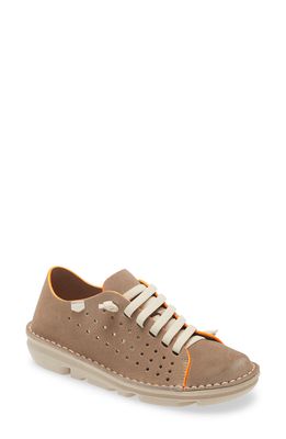 On Foot Perforated Sneaker in Bison