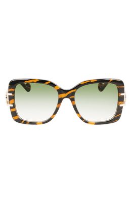 Lanvin Mother & Child 53mm Square Sunglasses in Tiger