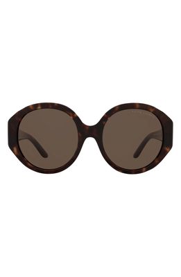 Ralph Lauren 56mm Oversized Round Sunglasses in Shiny Dark Havana/brown