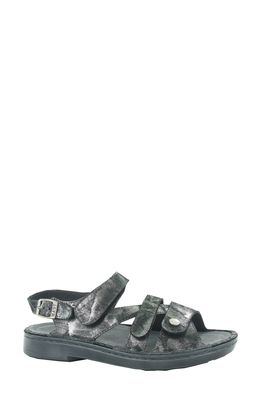 Naot Fleur Sandal in Metallic Onyx Leather