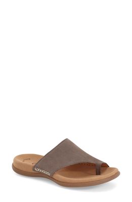 Gabor Toe Loop Sandal in Fumo Nubuck Leather