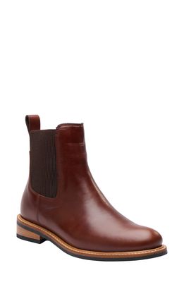 Nisolo Carmen Water Resistant Chelsea Boot in Brandy