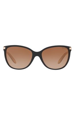 RALPH by Ralph Lauren 57mm Gradient Cat Eye Sunglasses in Black Tan