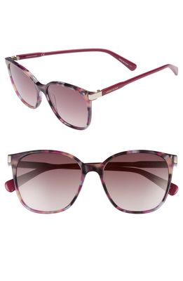 Longchamp 54mm Square Sunglasses in Havana Purple