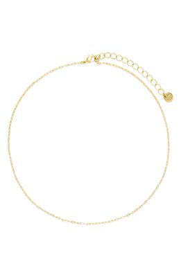 Brook and York Carly Chain Link Choker Necklace in Gold