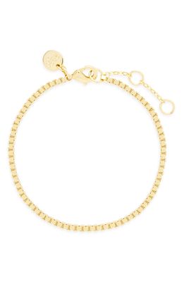 Brook and York Emma Box Chain Bracelet in Gold